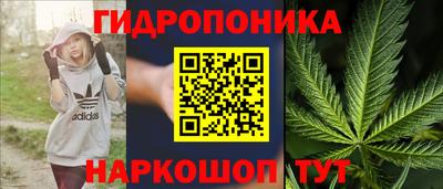 apvp Обь