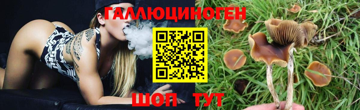 Бирск  Псилоцибиновые грибы Psilocybe  Псилоцибиновые грибы мицелий  Вход с VPN 